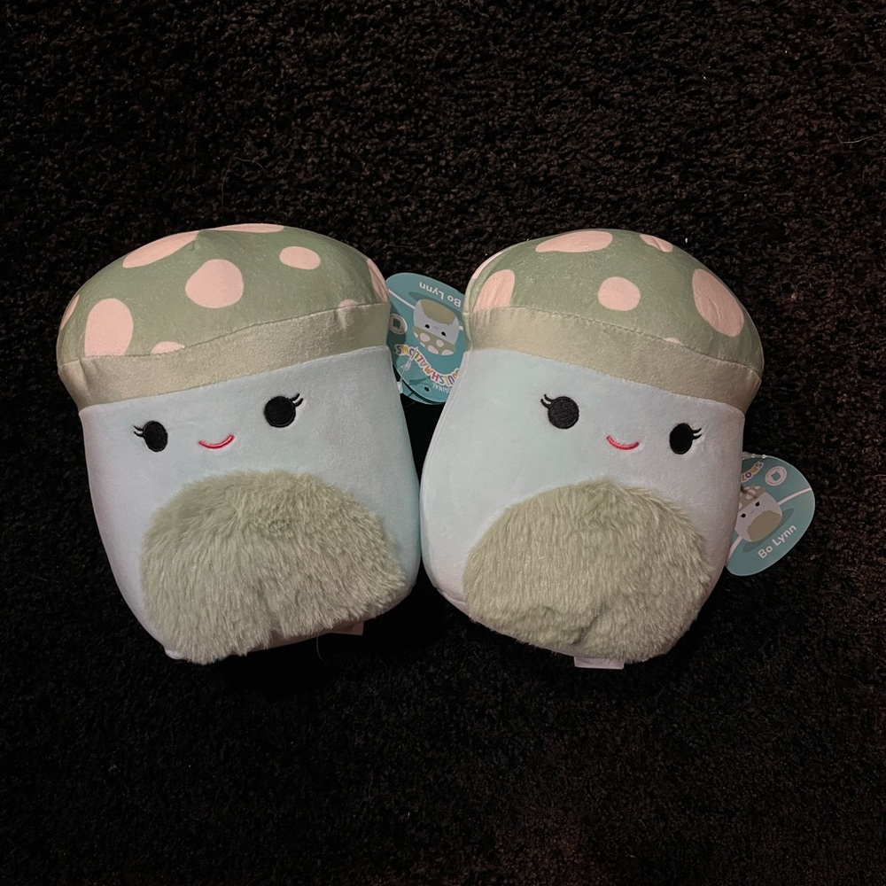 7.5” Bo Lynn Squishmallow Mushroom (2)